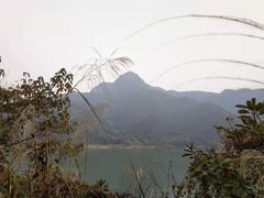 -羚羊峡古栈道森林公园