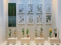 -广东中医药博物馆