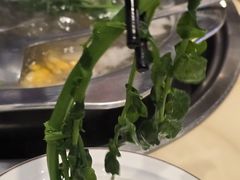 -小肥牛潮汕牛肉火锅(南联店)