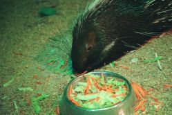 -酷嗒动物文化乐园(cutezoo西溪乐天城店)