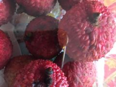 -百果园PAGODA(法华镇路店)