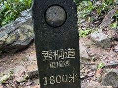 -梧桐山风景名胜区