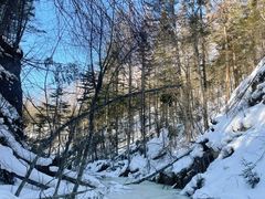 -峡谷浮石林景区