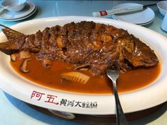 -阿五黄河大鲤鱼(纬三路店)