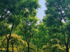 -东郊湿地公园