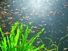 -成都浩海立方海洋公园