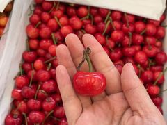 -西郊国际农产品交易中心