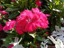 -UP&UP·半永久眉毛眼线机器野生眉