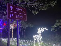 -亚龙湾国际玫瑰谷