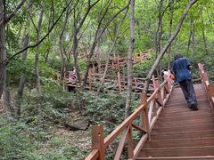 -大岭沟猕猴桃谷风景区