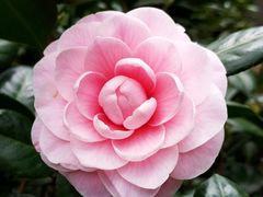 -昆明市金殿名胜区