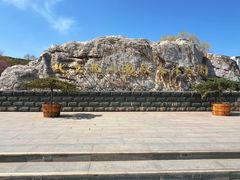 -北京西山国家森林公园