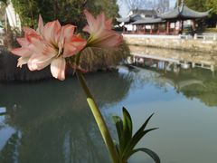 -张家港凤凰山景区恬庄古街