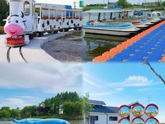 -杭州湾海上花田景区