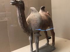-敦煌市博物馆