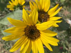 -祥源·阜阳生态乐园