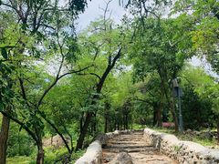 -阳台山自然风景区