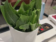 -八合里潮汕鲜牛肉火锅(上海汇智广场店)