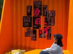 -汤旺河林海奇石景区