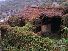 -枸杞岛