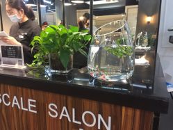 点击看大图 -PIONEER·韩式