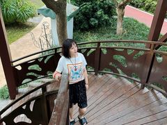 -世界恐龙谷景区