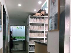 -爱侣宠医·鹦鹉专科·小型哺乳类·异宠专科(灵石路店)