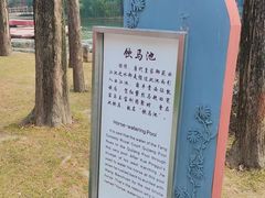 -西安曲江寒窑遗址公园
