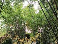 -望江楼公园
