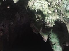 -怀托摩萤火虫洞