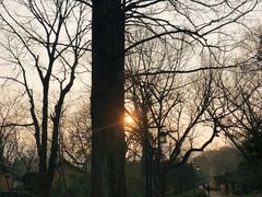 -法云安缦酒店