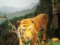 -陕西自然博物馆