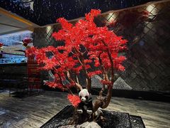 -红辣椒·川菜·火锅(大洋中心店)