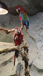 -Zoolung Zoolung动物主题公园(海信广场店)