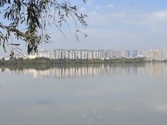 -艾溪湖湿地公园