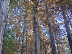 -国家植物园南园