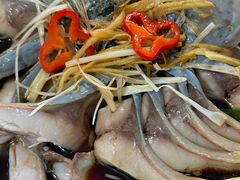 -煲来饱去冷水鱼