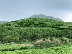 -嵛山岛