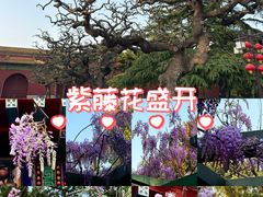 -北京市劳动人民文化宫(太庙)