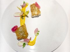-态芮