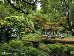 -申粤轩酒楼·三十年粤菜经典(丁香花园店)