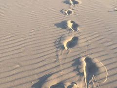 -库伦旗银沙湾旅游景区