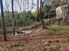 -南昌昌北国际机场