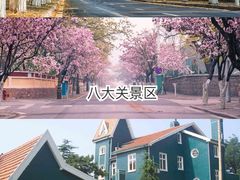 -栈桥景区
