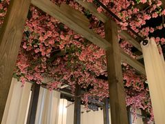 -花千醉(新街口店)