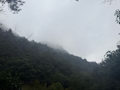 -黄山翡翠谷景区