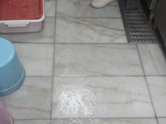 -楚山晓·楚湘菜(江夏永旺店)