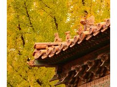 -故宫博物院(故宫)