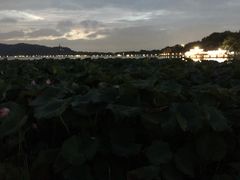 -西湖外事游船(湖滨二公园外事游船码头)