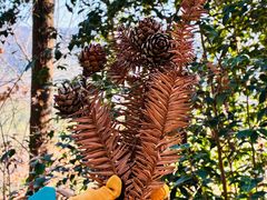 -南京市无想山景区